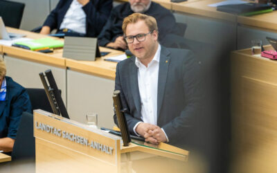 FDP fordert klare Umsetzungsfristen für digitale Behördenleistungen