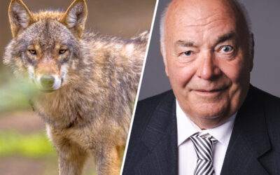 Hauser: Sachsen-Anhalt muss den Wolf ins Jagdrecht aufnehmen