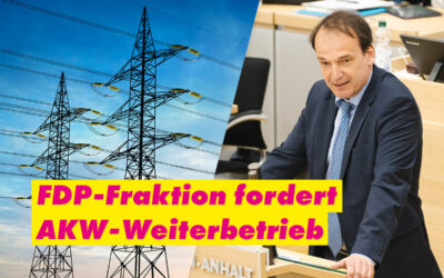 FDP dringt auf Bundesratsinitiative für längere AKW-Laufzeit