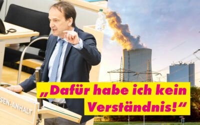 Silbersack (FDP): Diskussion um früheren Kohleausstieg in Ostdeutschland verbietet sich