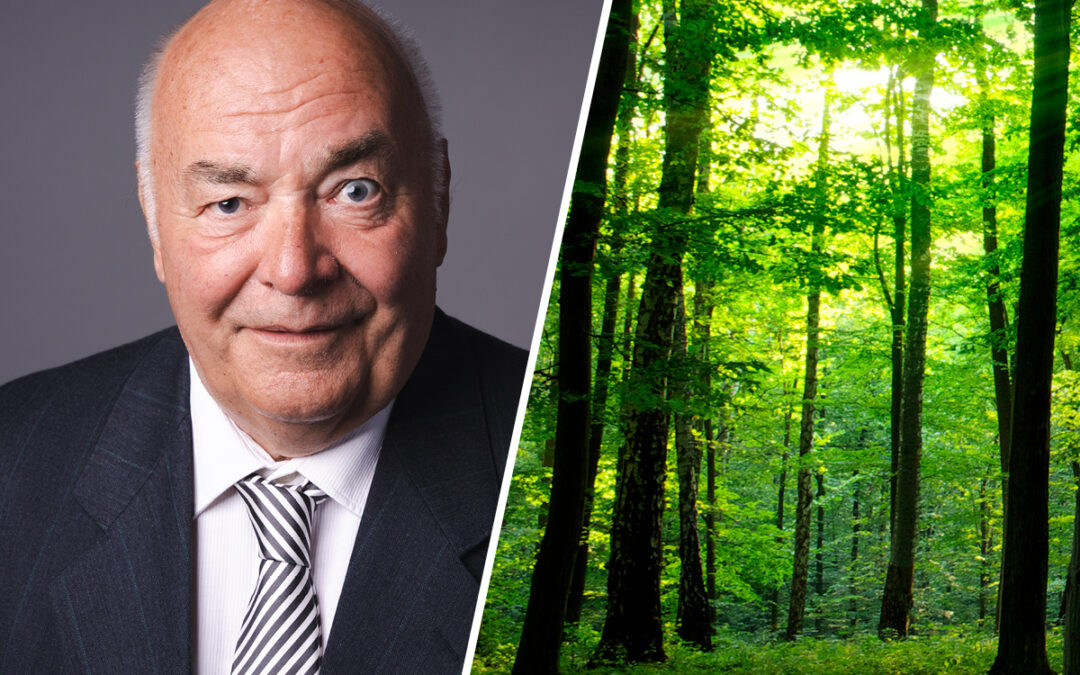 FDP für „intelligenten Waldumbau“ mit klimaresistenten Baumarten