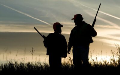 Änderungen im Waffenrecht – welche Auswirkungen haben sie für die Jägerschaft?