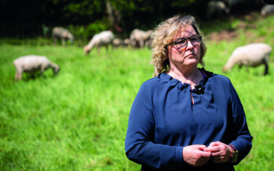 Sachsen-Anhalt nimmt Wolf ins Jagdrecht auf
