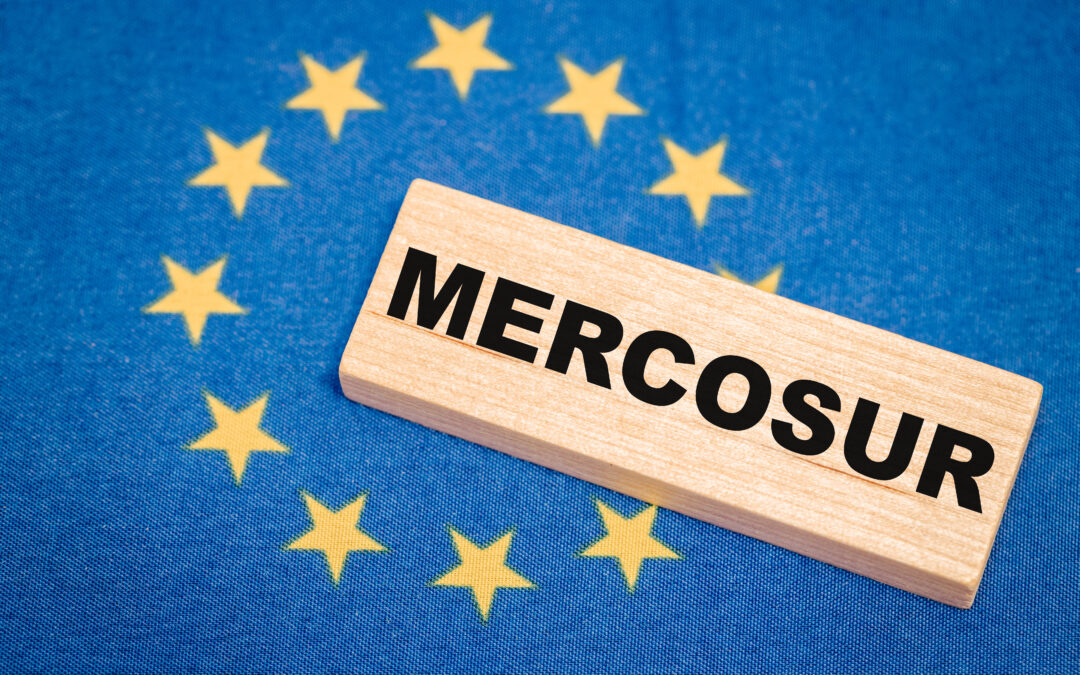 Silbersack (FDP): „Grüne, Linke und AfD blockieren unseren Mittelstand“