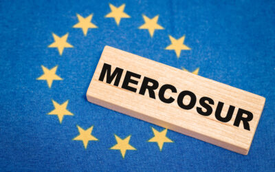 Silbersack (FDP): „Grüne, Linke und AfD blockieren unseren Mittelstand“