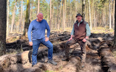 FDP-Abgeordneter zwischen Wald und Windkraft in der Dübener Heide